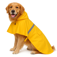 Canine Shell